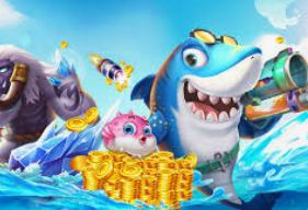 c7下载2024最新版